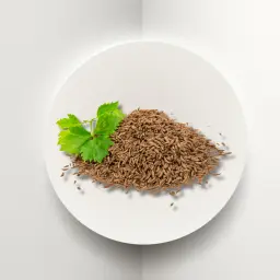 كراوية مصرية حب